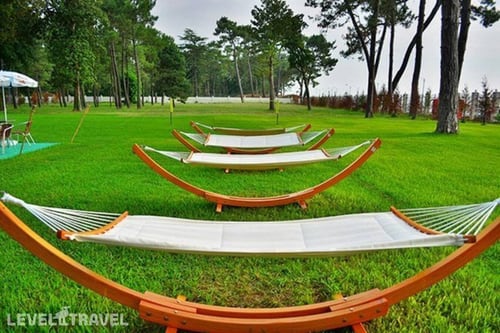 Georgia Palace Hotel — фото 23