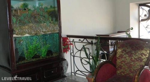 Ritsa Hotel — фото 8