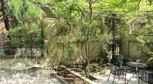 Iliani — фото 6