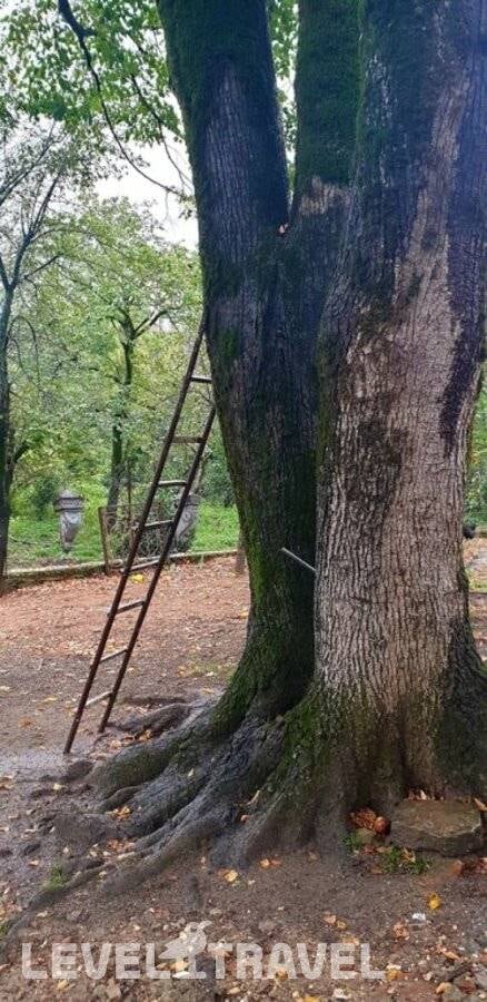 Four Seasons — фото 14