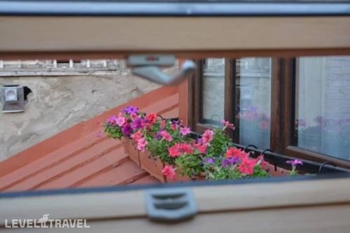 Nicolas — фото 4