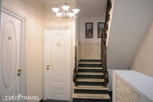 Nicolas — фото 22