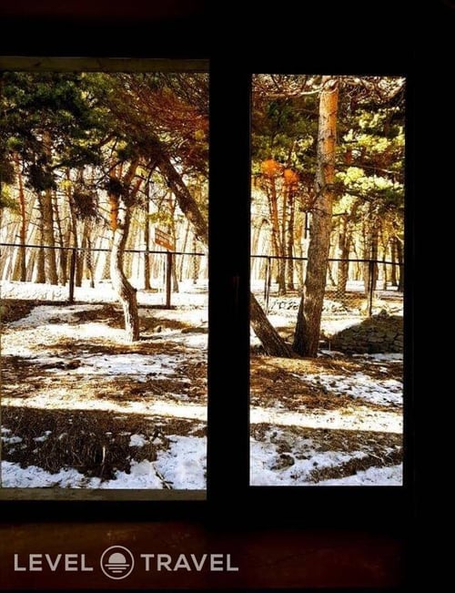 Cozy Hotel in Kazbegi — фото 14