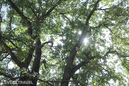 ArtVilla Bakuriani — фото 24