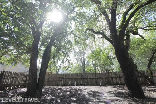 ArtVilla Bakuriani — фото 25