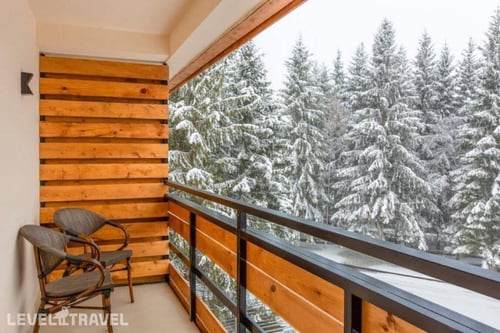 Отель Bakuriani Inn — фото 15