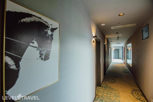 Graphic Batumi — фото 15