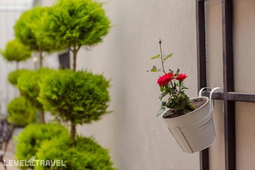 Bloom — фото 27