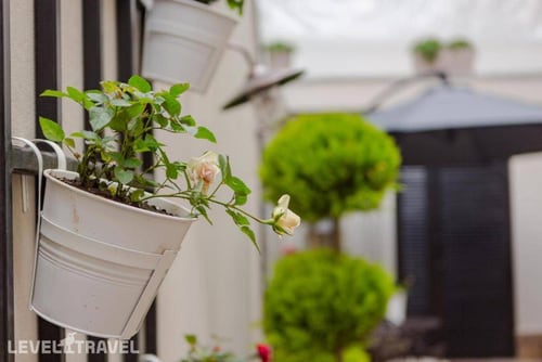 Bloom — фото 23