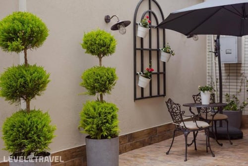 Bloom — фото 31