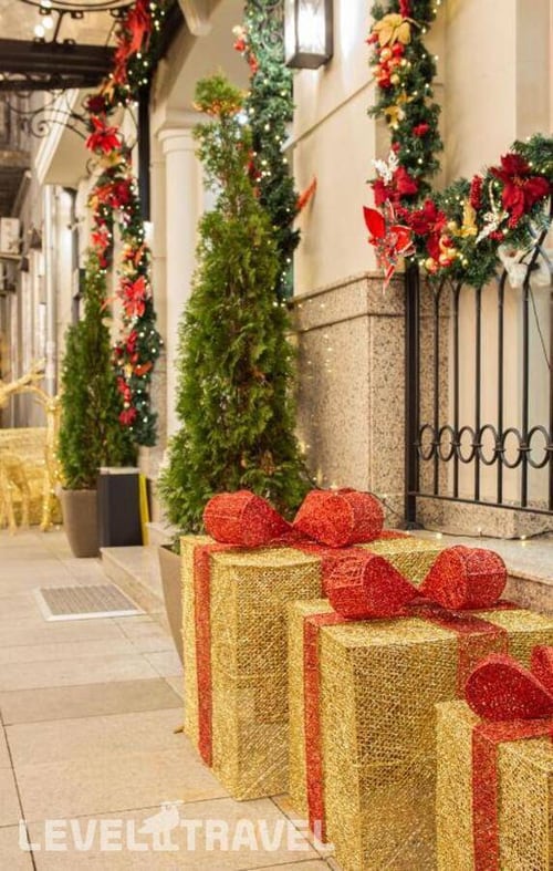 Bloom — фото 33