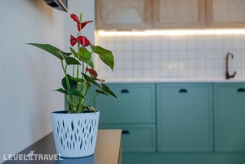 Miramar Luxury Residences — фото 29