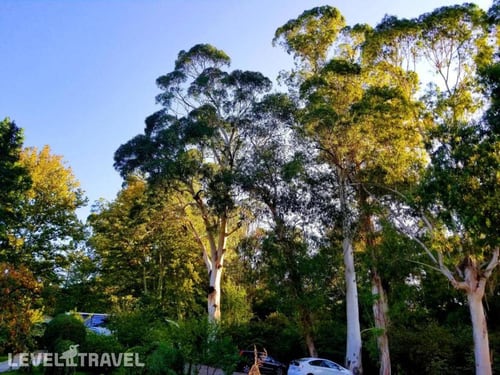 Отель Вита Гардения Цхалтубо — фото 44