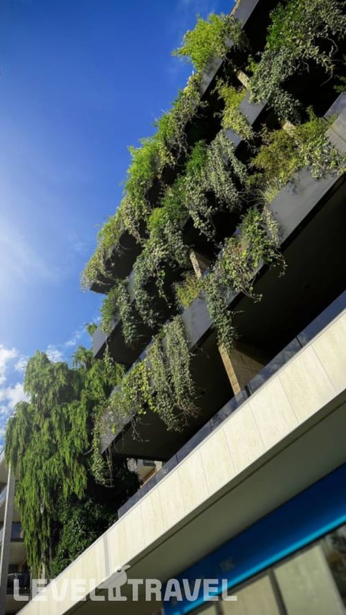 Bamboo Garden — фото 24