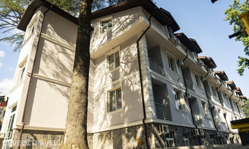 Клевер — главное фото