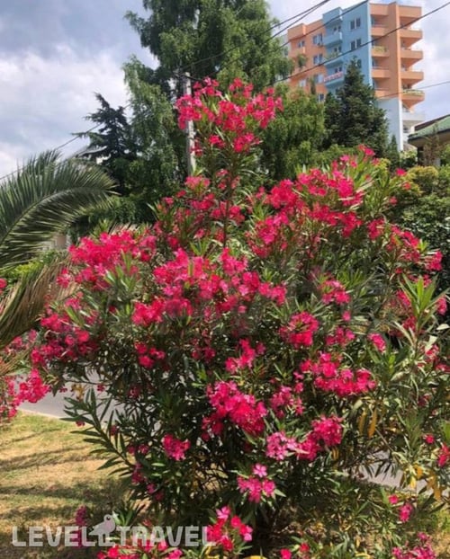 Апартаменты На Улице Донская 108а — фото 8